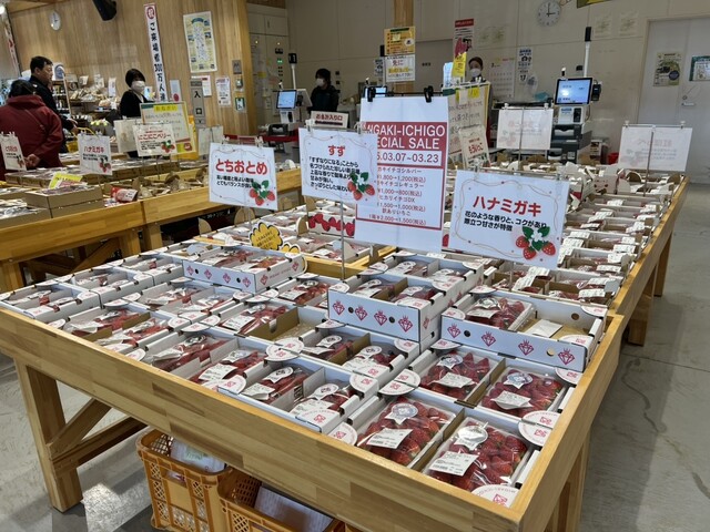 やまもと夢いちごの郷 - 坂元（その他）の写真