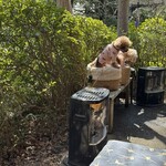 そば処 湧水 - 隣のかわいこちゃん