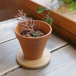 MaSiLo cafe - ◆コーヒー&チョコ◆