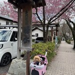 そば処 湧水 - お店の看板前で