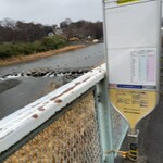 蒙古タンメン中本 - 