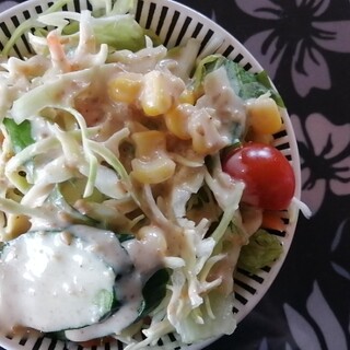 デシィ ディラ_1