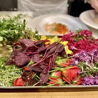 雪花菜 - 