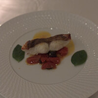TRATTORIA PIZZERIA 207 渋谷店 - お魚