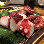 サンチャ フカミ - たこぶつ