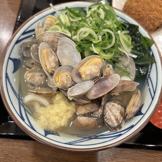 Marugame Seimen Yatomiten