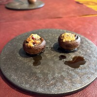 Potoro - 