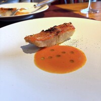 Potoro - 