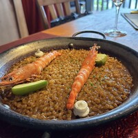 Potoro - 