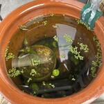 かつ亭 いろは - 