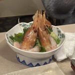 浜っ子 読売北海道ビル店 - 