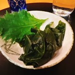 湯島天神下 すし初 - 