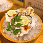 横浜 酒槽 - 生牡蠣