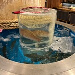 横浜 酒槽 - 生け簀！