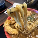 三ツ島 真打 - うどん。