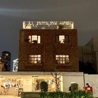 THE ROSE - 