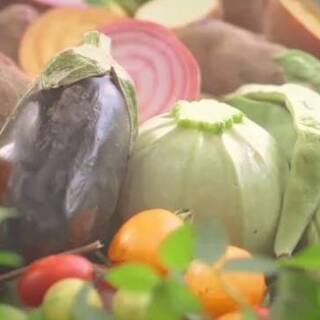 フェルム・ソレイユ_1