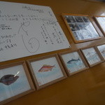 ひろせ商店 - 飯寿しに化ける魚達