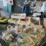 食べる水族館 魚ぎ - 