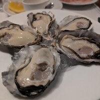 舵 - 