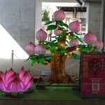 丿貫 - 関内駅前の春節飾り