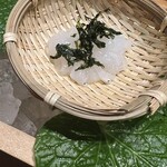 龍吟 - のれそれ