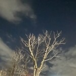 焼きもの家 慶 - 