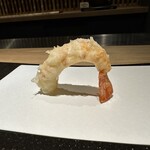 蝦夷天ぷら 鶴来 - ボタンエビ