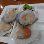 白浜オーシャンリゾート - 