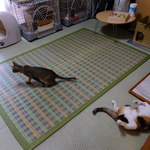 和ん亭 - 