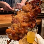 炭火焼鳥 きち蔵 - 