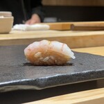 大阪 京橋 鮨 黒潮海閤 - 