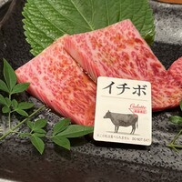 松阪牛炭火焼肉 東海亭 - 