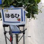 結家ファーム - 