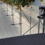 結家ファーム - 