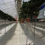 結家ファーム - 広い！