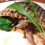 ２０１４年６月：サバの下には、黒ムツの稚魚が５匹も