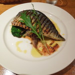 ２０１４年６月：焼き目がきれいなサバのグリル