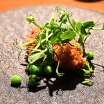 TACUBO - 亦楒サムライオイスター