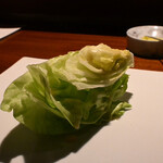 TACUBO - きもちいいレタス
      