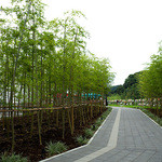 一蘭 - 駐車場から工場へ向かう歩道。なっかなかの雰囲気です。