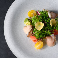 鎌倉野菜の彩サラダ