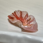 鮨 博多まつもと 八重洲店 - 