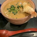 手打 しまだ - エビ天+肉カレースープうどん