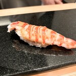 鮨と天草大王 天音 - 