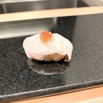 鮨と天草大王 天音 - 