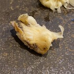 鮨 ひでぞう - つぶ貝