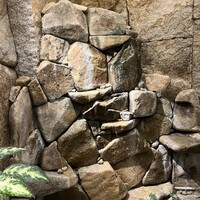 游玄亭 赤坂 - 