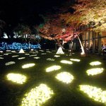 フランス料理 ル・トリアノン - ('09/12)ライトアップされた庭園１