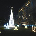 フランス料理 ル・トリアノン - ('09/12)ライトアップされた庭園２